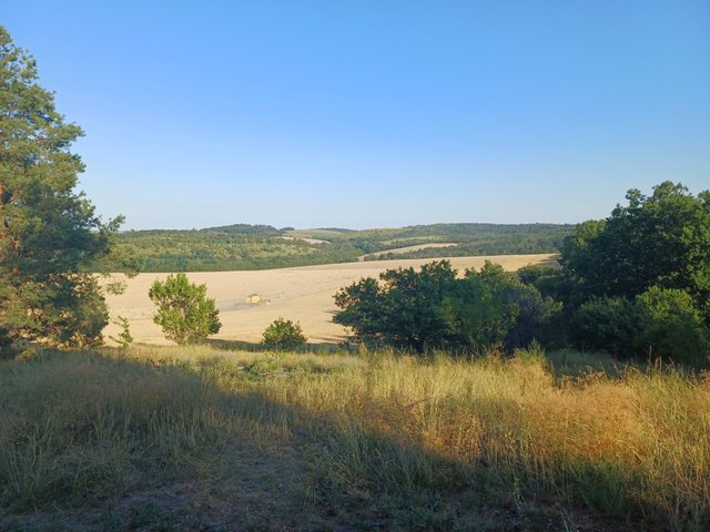 20250802_182531.jpg