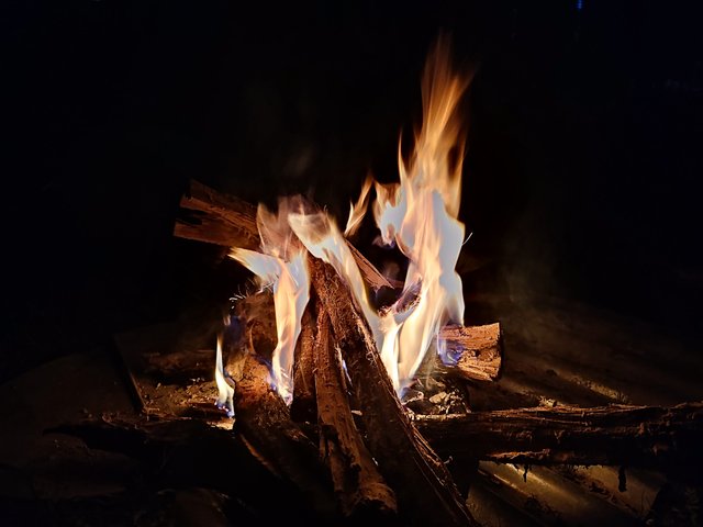 IMG_20220909_211442.jpg