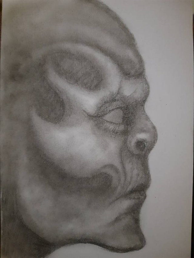 20250726_104952.jpg