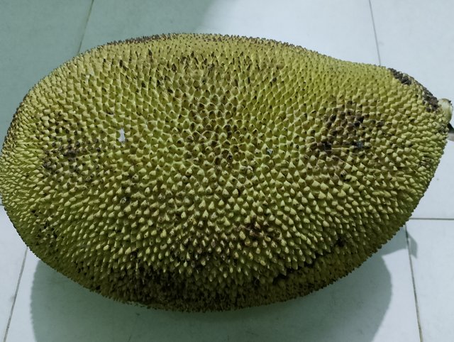 1000011230.jpg