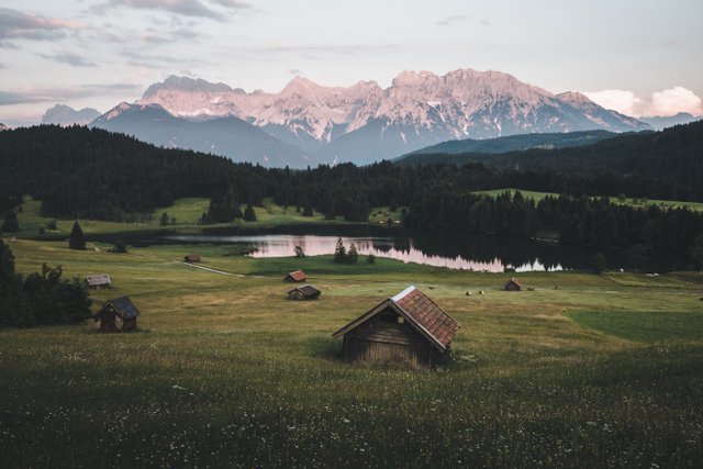 pexels-mateusz-sałaciak-4275885.jpg