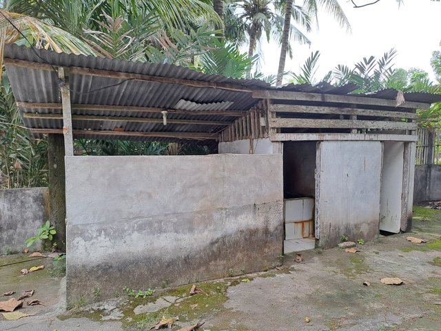 20250715_163552.jpg