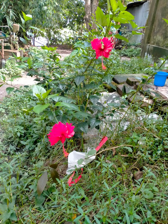 IMG20250624151444.jp