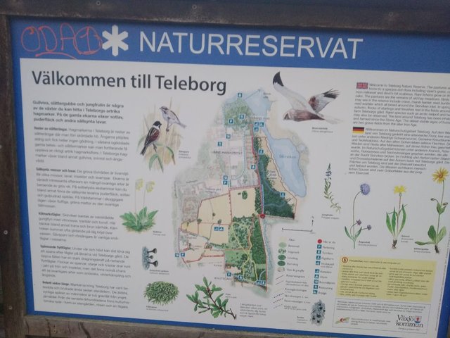 IMG-20191230-WA0012.jpg