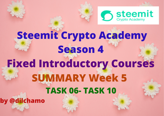 Steemit Crypto Academy Season 4 Fixed Introductory Courses for Week 5 SUMMARY TASK 06- TASK 10 by @dilchamo.png