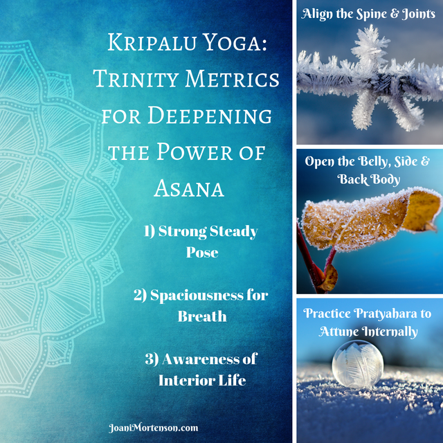 Kripalu Yoga_ Trinity Metrics for Deepening the Power of Asana.png