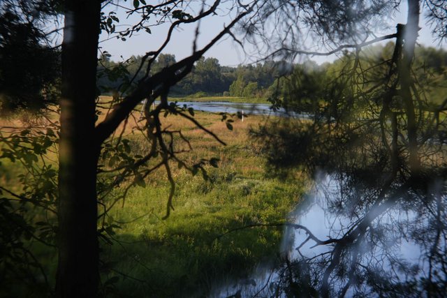 DSC00946.jpg