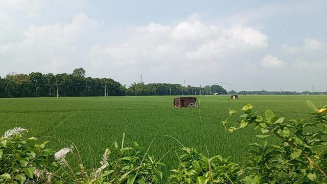 IMG_20240918_103015_9.jpg