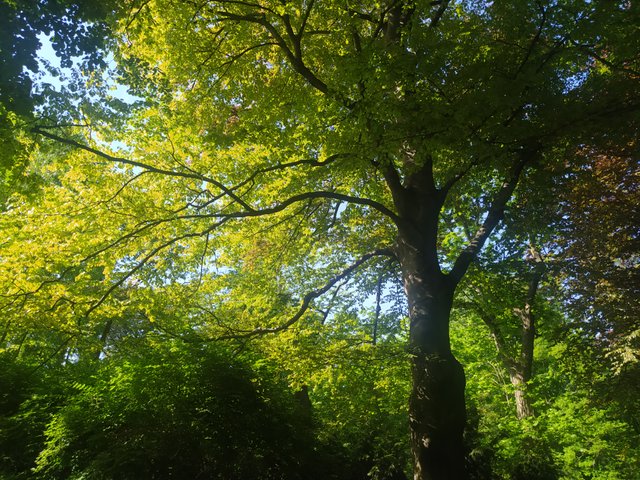 IMG_20250430_162842.jpg