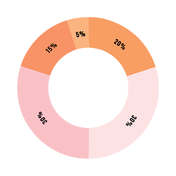 TOKENS DISTRIBUTION.png