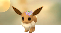 Pokemon GO Flower Crown Eevee Guide - Can Flower Crown Eevee Evolve?