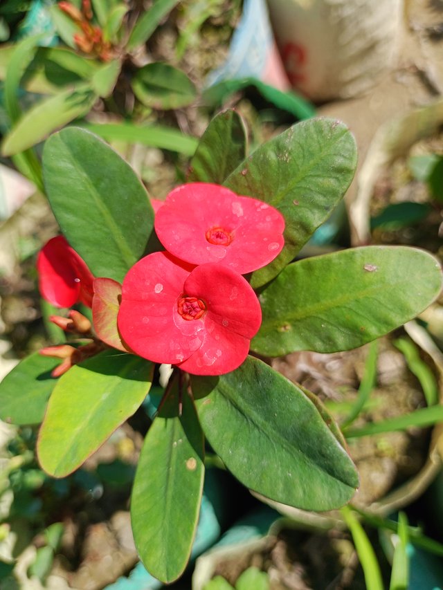 IMG20241120111431.jpg