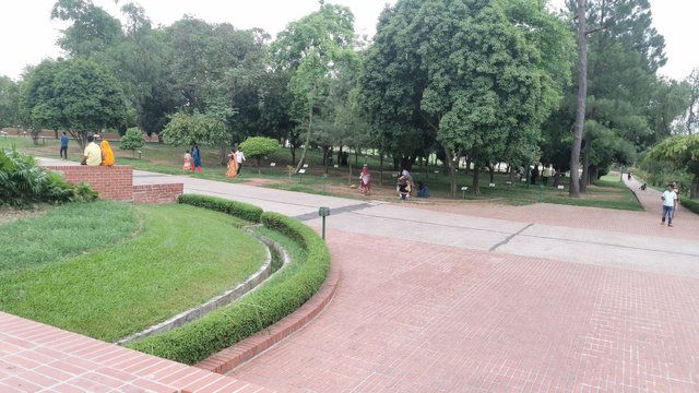 IMG_20240526_165804.jpg