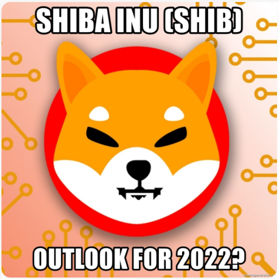 Shiba Inu (SHIB) Outlook for 2022 Header Image.PNG