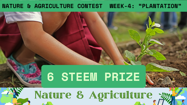 Nature & Agriculture Contest Week-1 Plantation.png