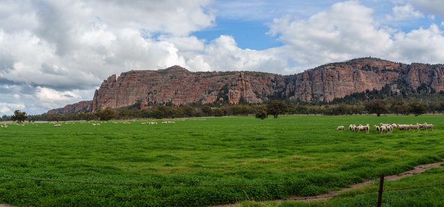 A1V00846-Pano.jpg