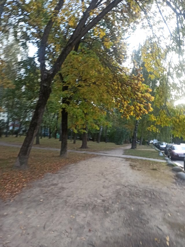 IMG_20250923_174940.jpg