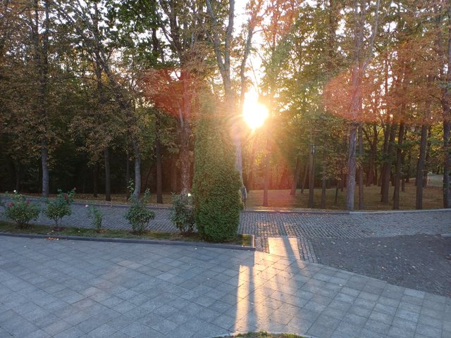 20250920_183120.jpg