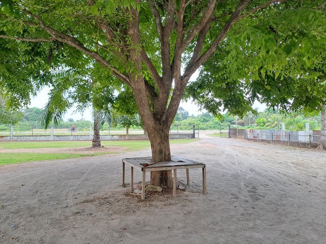 20250614_163032.jpg