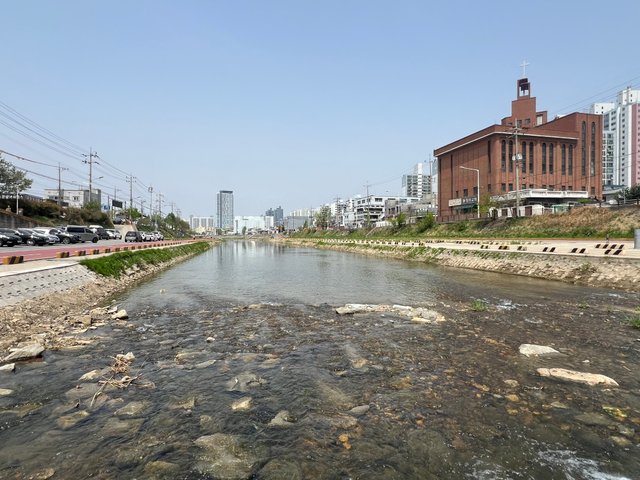 KakaoTalk_20250418_213646197.jpg