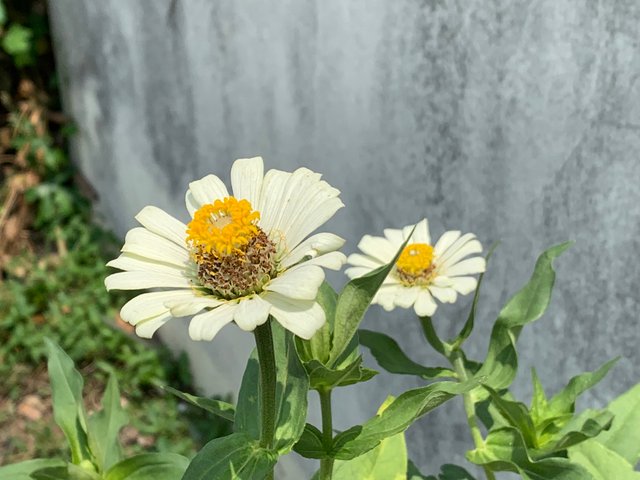 nature18.jpg