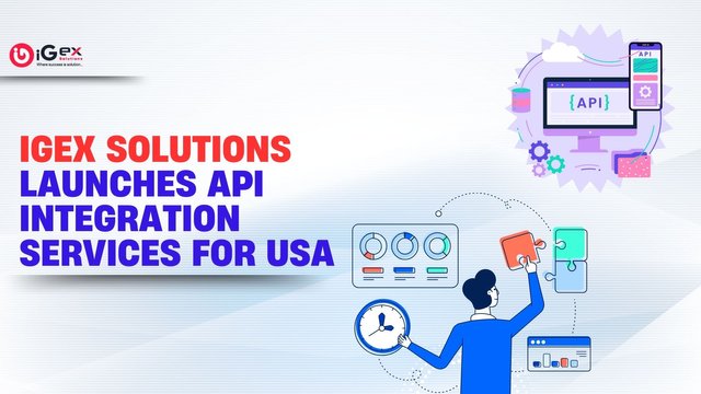 iGex Solutions Launches API Integration Services for USA (1).jpg