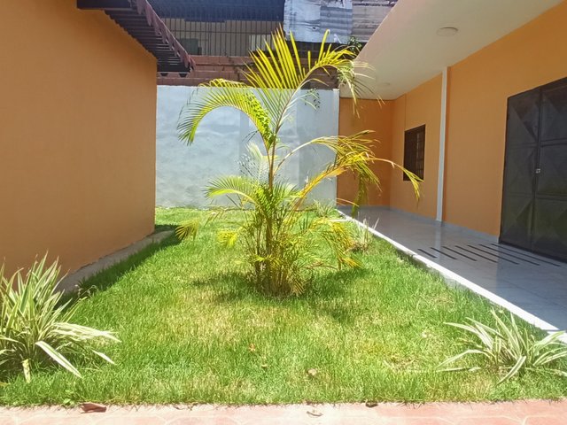 IMG_20250909_090424.jpg