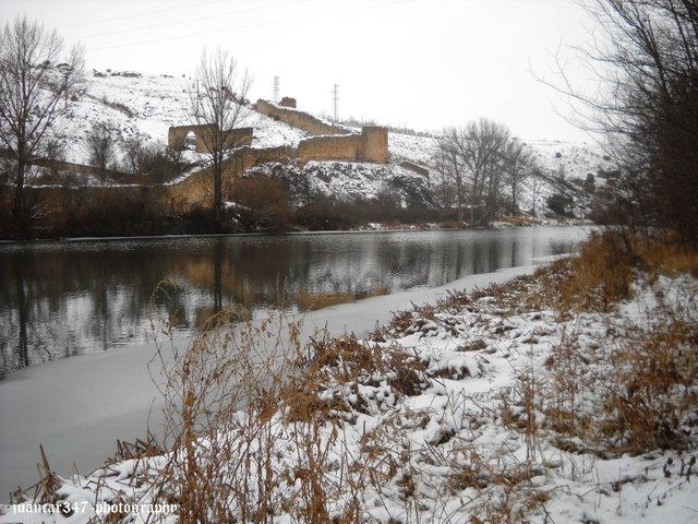 DSCN6563.jpg