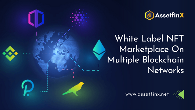 whitel-label-multichain-nft-platform-development.png