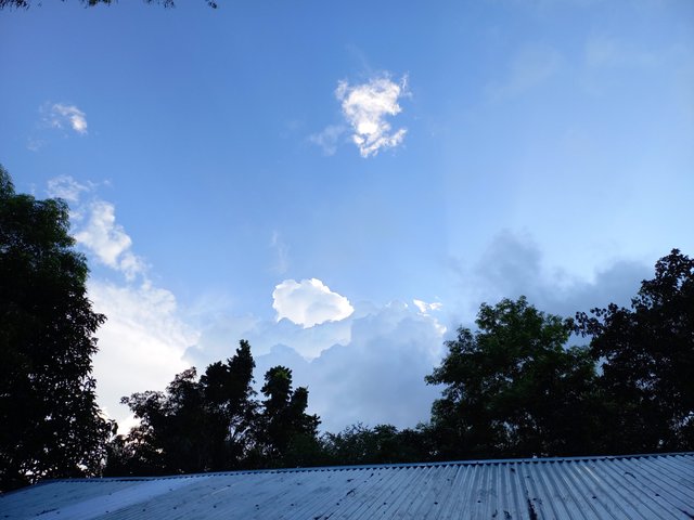 20220922_165851.jpg