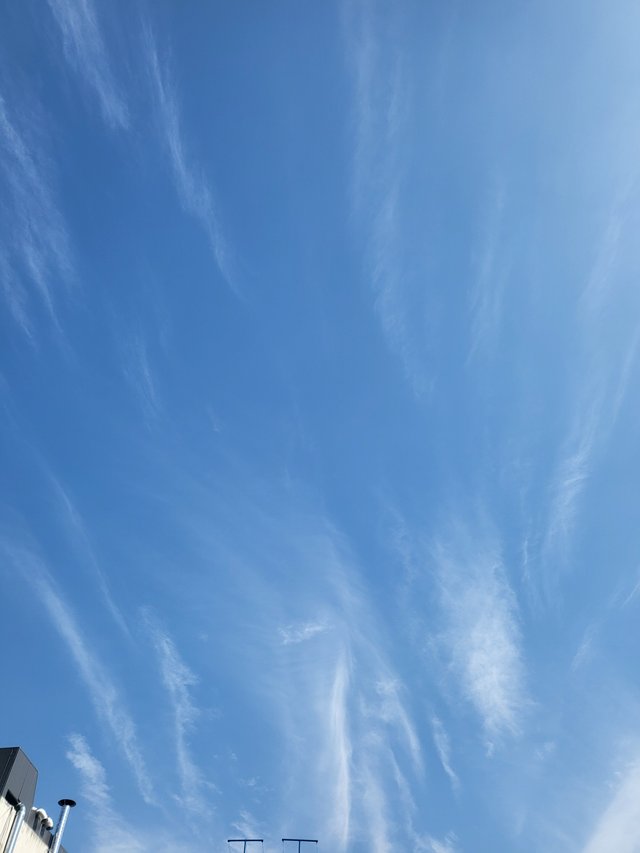 1000020457.jpg