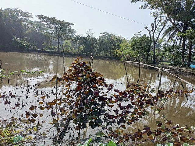 IMG20240109131720.jpg