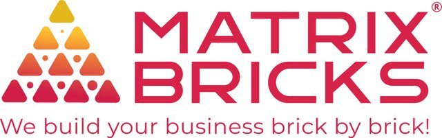 Matrix Bricks Logo Red.jpg