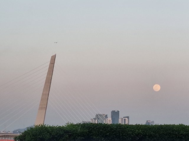 20220416_190317.jpg