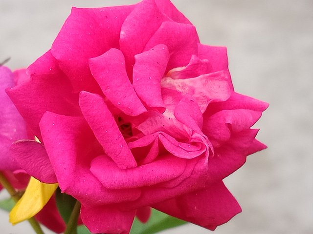 IMG_20251007_235427.jpg