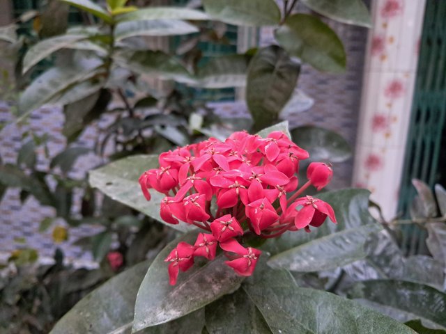 20240107_171018.jpg