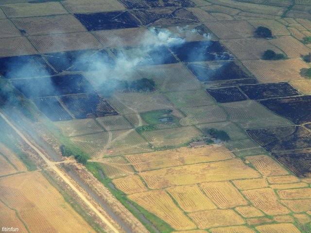Myanmar fields overhead cloudfitinfun.jpg