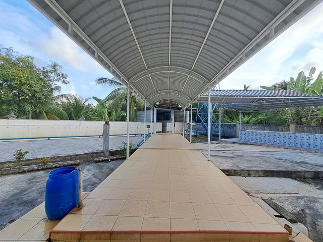 20250419_174121.jpg