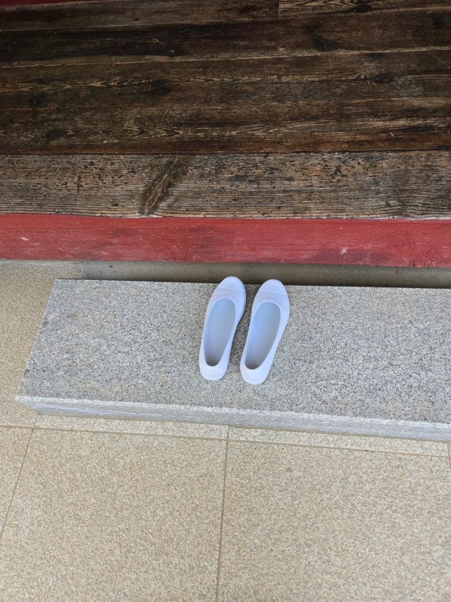 1000006270.jpg