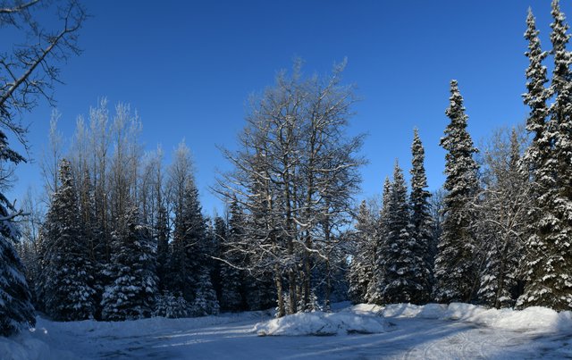 pano110 the driveway upload.jpg