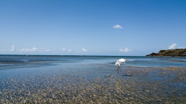 Playa Escondida Fajardo Puerto Rico-14.jpg