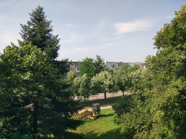 IMG_20250606_090641_HDR.jpg