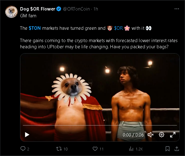 Dog or flower X post on Ton.png