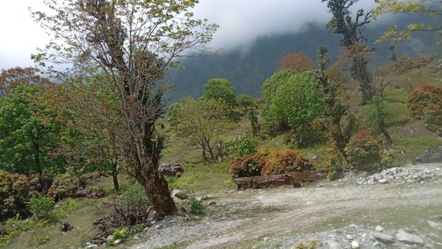 20250503_105534.jpg