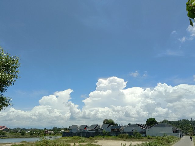 IMG_20250403_125555.jpg
