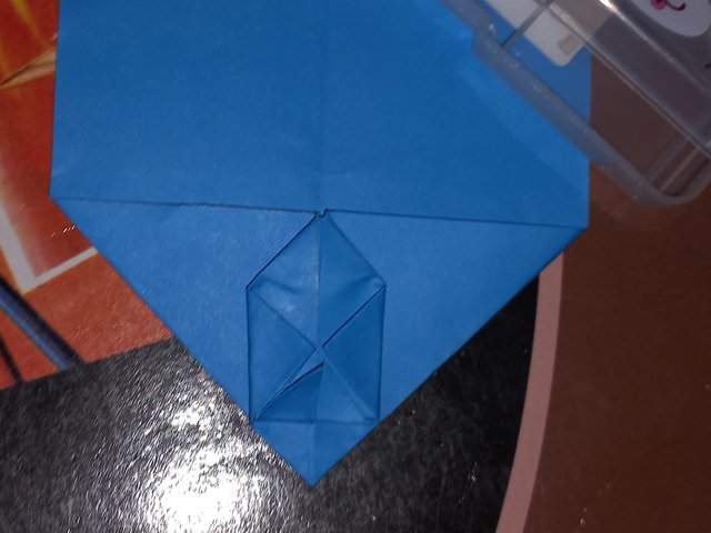 20250427_200456.jpg