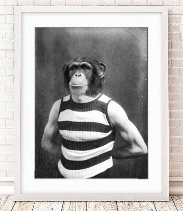 strong chimp.jpg