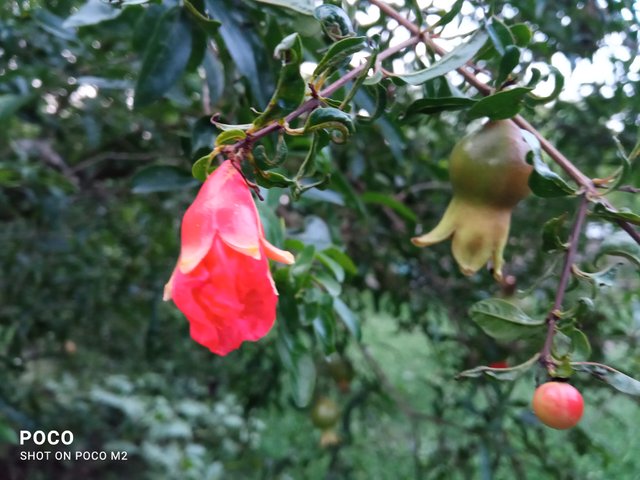 IMG_20250522_183715.jpg