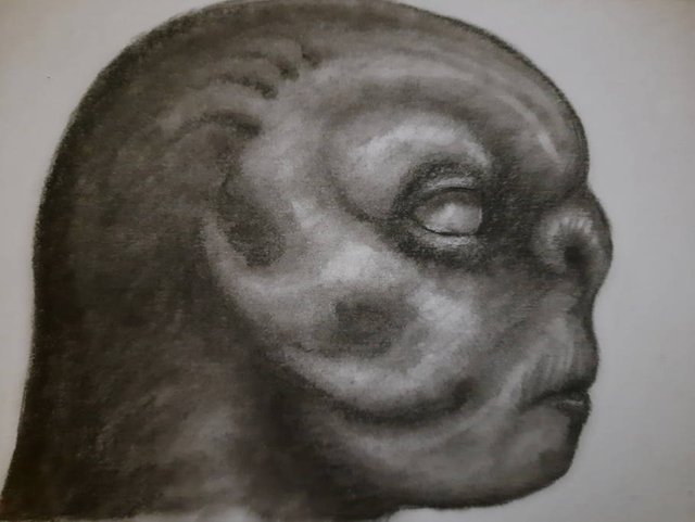 20250725_105546.jpg