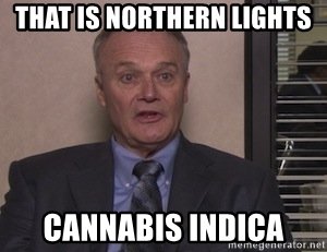 that-is-northern-lights-cannabis-indica.jpg